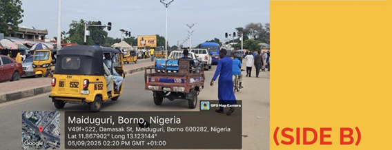 Landscape Billboard at Ibrahim Taiwo Junction, Maiduguri, FTF Malamari Barracks- Baga Road, Side A, Borno State